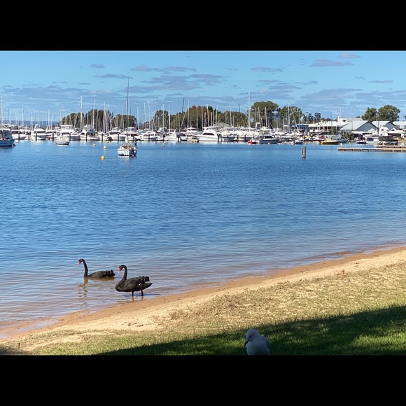 Meet your Posher, Zahraa - Picture 1 of 1